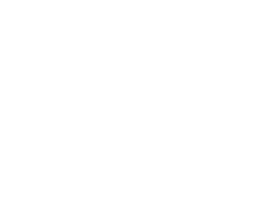 técnicos